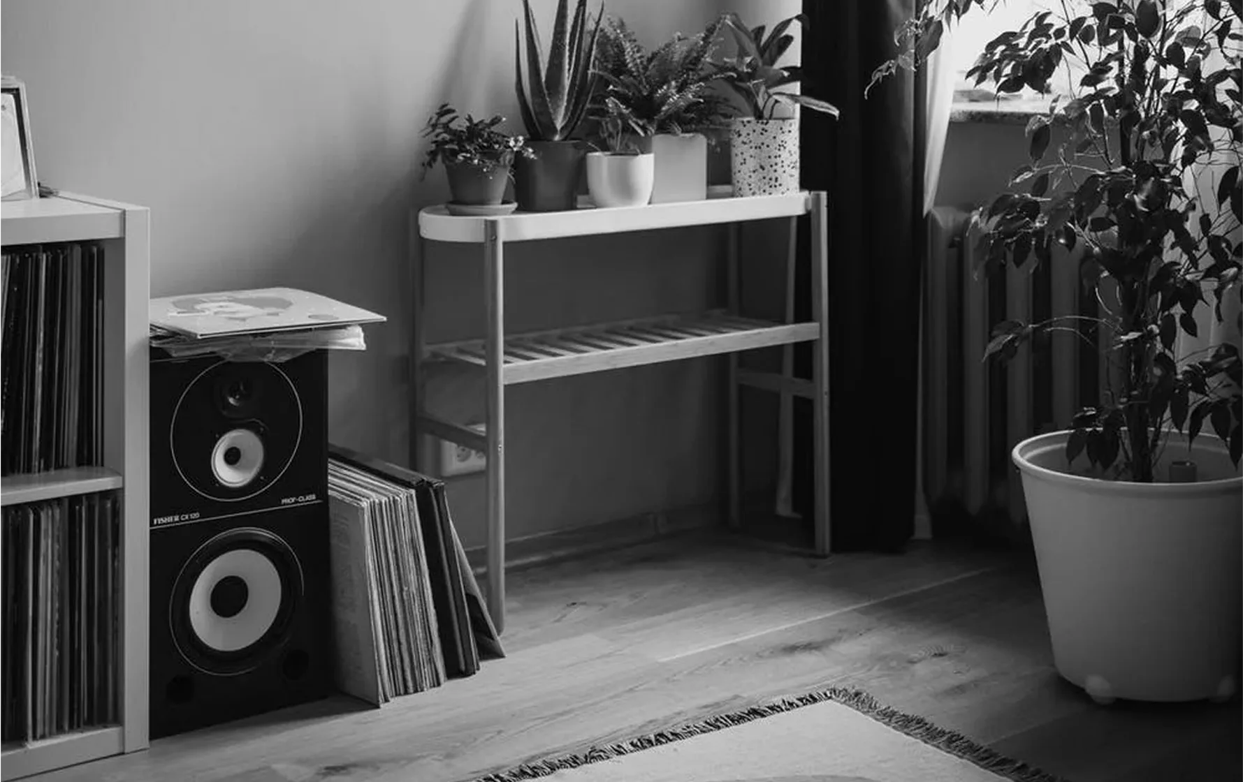 ZX7 Speaker view 1